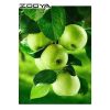 Fruits Apples Diamond Painting Kit - DIY