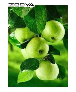 Fruits Apples Diamond Painting Kit - DIY