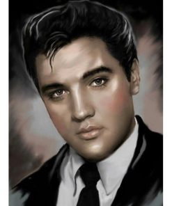 Elvis Presley Caricature Diamond Painting Kit - DIY