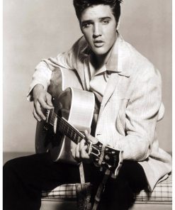 Singer Elvis Presley Diamond Painting Kit - DIY