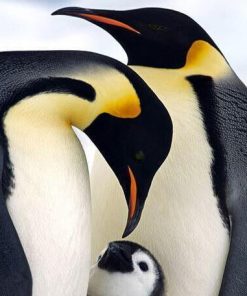 Family Of Penguins Diamond Painting Kit - DIY