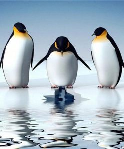 Reflection Penguins Diamond Painting Kit - DIY