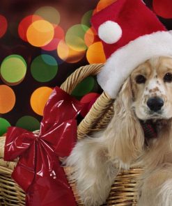 Dog Christmas Toy Diamond Painting Kit - DIY