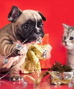 Dog And Cat Christmas Diamond Painting Kit - DIY