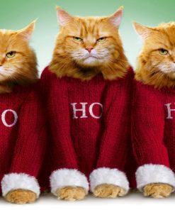 Ho Ho Ho Cat Christmas Diamond Painting Kit - DIY