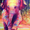 Elephant Full Colors Diamond Painting Kit - DIY