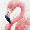 Flamingo Picture II Diamond Painting Kit - DIY