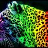 Jaguar Colors Diamond Painting Kit - DIY