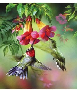 Hummingbird Full Flowers Diamond Painting Kit - DIY