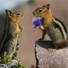 Chipmunk Love Diamond Painting Kit - DIY