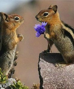Chipmunk Love Diamond Painting Kit - DIY