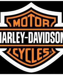 Harley Motor Diamond Painting Kit - DIY