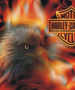 Harley Eagle Diamond Painting Kit - DIY