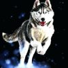 Husky Cut Diamond Painting Kit - DIY