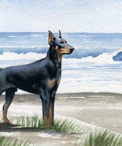 Doberman Pinscher Beach Diamond Painting Kit - DIY