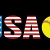 Softball USA Team Diamond Painting Kit - DIY