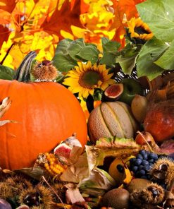 Thanksgiving Day Happy Diamond Painting Kit - DIY