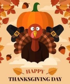 Turkey Thanksgiving Day USA Diamond Painting Kit - DIY