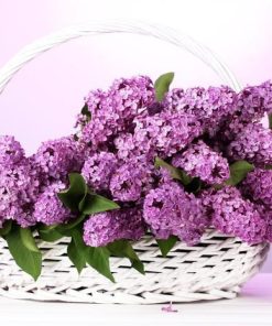 Flower Diamond Painting Kit - DIY Flower-22