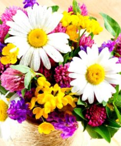 Flower Diamond Painting Kit - DIY Flower-44