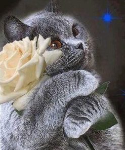 Flower Diamond Painting Kit - DIY Flower-68