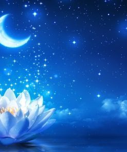 Flower Diamond Painting Kit - DIY Flower-78