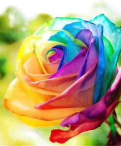 Rainbow Flowers Diamond Painting Kit - DIY Rainbow Flowers-2