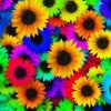 Rainbow Flowers Diamond Painting Kit - DIY Rainbow Flowers-5