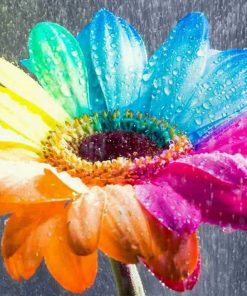 Rainbow Flowers Diamond Painting Kit - DIY Rainbow Flowers-6
