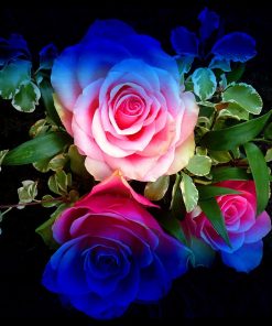 Rainbow Flowers Diamond Painting Kit - DIY Rainbow Flowers-10