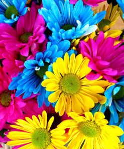 Rainbow Flowers Diamond Painting Kit - DIY Rainbow Flowers-11