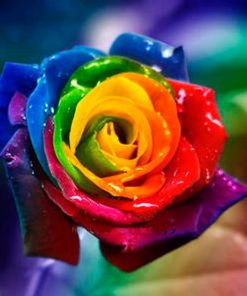 Rainbow Flowers Diamond Painting Kit - DIY Rainbow Flowers-13