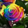 Rainbow Flowers Diamond Painting Kit - DIY Rainbow Flowers-15