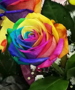 Rainbow Flowers Diamond Painting Kit - DIY Rainbow Flowers-15