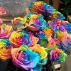 Rainbow Flowers Diamond Painting Kit - DIY Rainbow Flowers-17