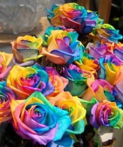 Rainbow Flowers Diamond Painting Kit - DIY Rainbow Flowers-17