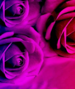 Rainbow Flowers Diamond Painting Kit - DIY Rainbow Flowers-18