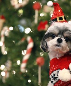 Christmas Diamond Painting Kit - DIY Christmas-19