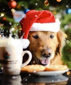 Christmas Diamond Painting Kit - DIY Christmas-39