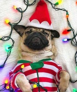 Christmas Diamond Painting Kit 5D - DIY Season 2-33