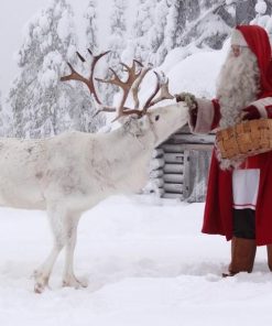 Christmas Diamond Painting Kit 5D - DIY Season 2-96