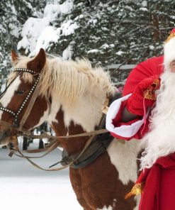 Christmas Diamond Painting Kit 5D - DIY Season 2-113