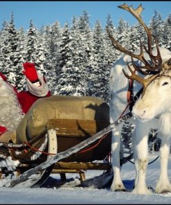 Christmas Diamond Painting Kit 5D - DIY Season 2-141