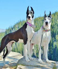 Great Dane Love Diamond Painting Kit - DIY