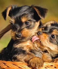 Yorkie Cute Love Diamond Painting Kit - DIY