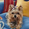 Yorkie Art Diamond Painting Kit - DIY