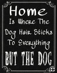 Home Dog Diamond Painting Kit - DIY