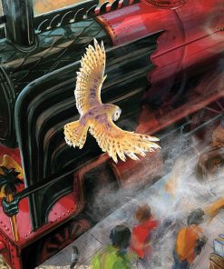 5d Harry Potter Diamond Painting Kit Premium-9