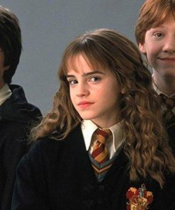 5d Harry Potter Diamond Painting Kit Premium-18