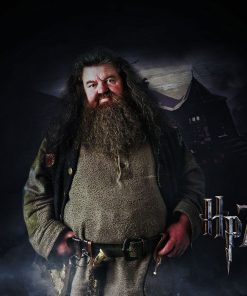 5d Harry Potter Diamond Painting Kit Premium-19